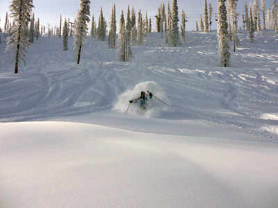 Taking a powder at Blacktail